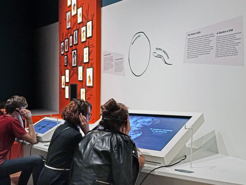 Dispositifs de médiation au musée de l'homme, Paris