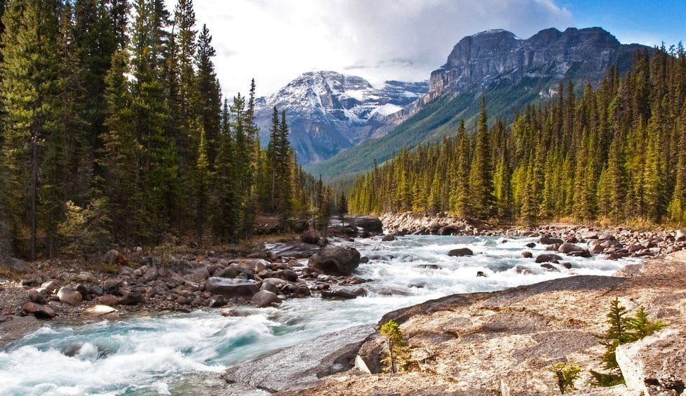 paysage canadien