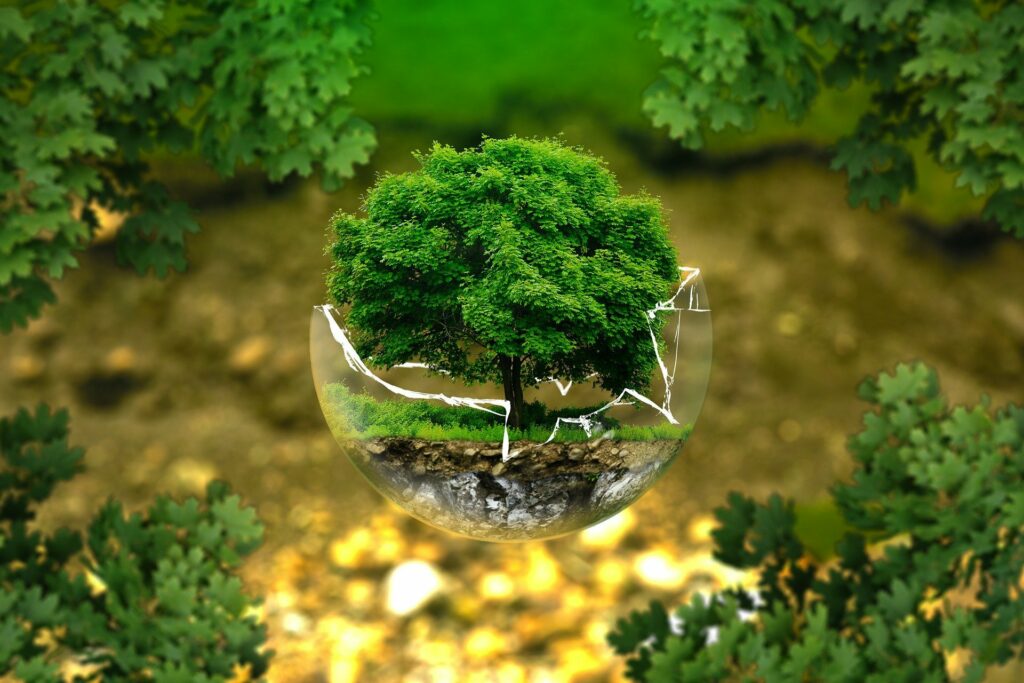 numerique environnement
