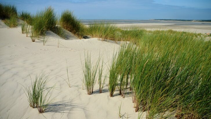 Quelles sont les activités à pratiquer lors d’une visite au Touquet ?