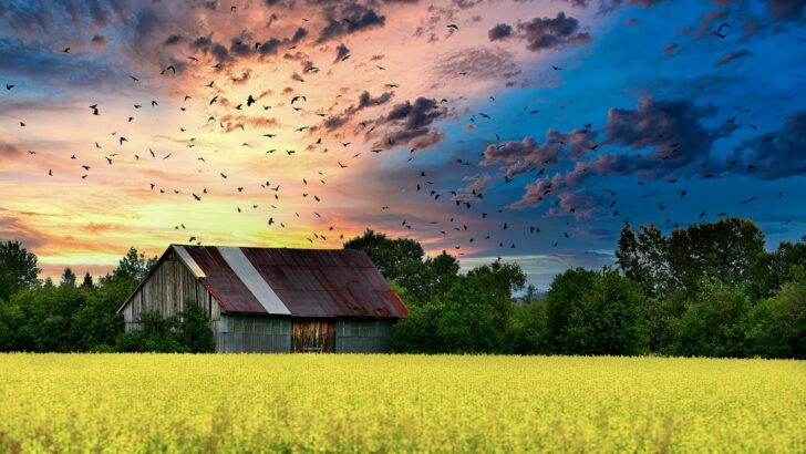 Quel budget pour la rénovation d’une ferme ?