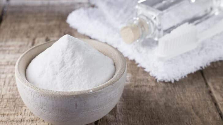 Ammoniaque alcali : utilisations, dangers et précautions