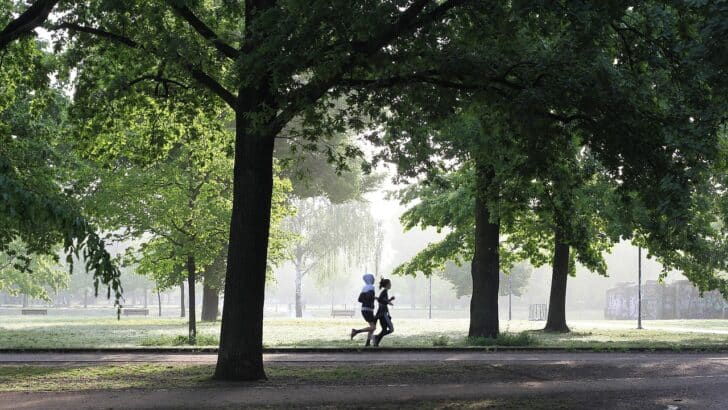 Pourquoi opter pour un coupe vent sans manche pour le sport ?