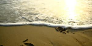 Profitez pleinement de votre séjour en camping à Torreilles grâce à ces 4 bons plans