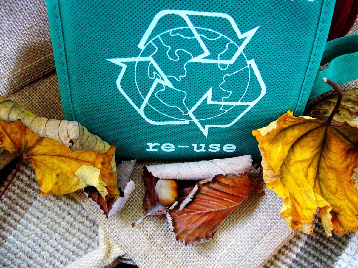 emballage eco responsable