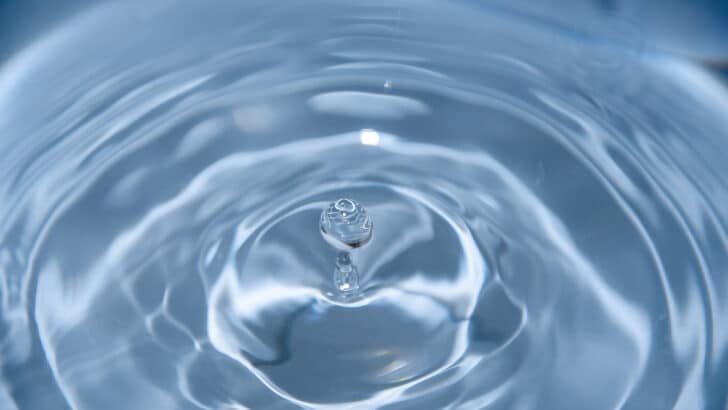 Investir dans un traitement optimal des effluents pour préserver notre environnement