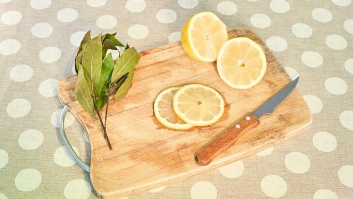 Feuilles de laurier et citron : les bienfaits surprenants de cette association dans la maison