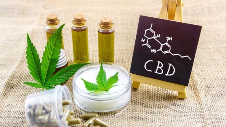 CBD : son efficacité et ses risques