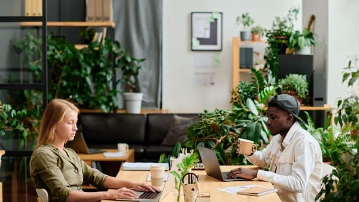 Espaces de travail : les bienfaits des plantes